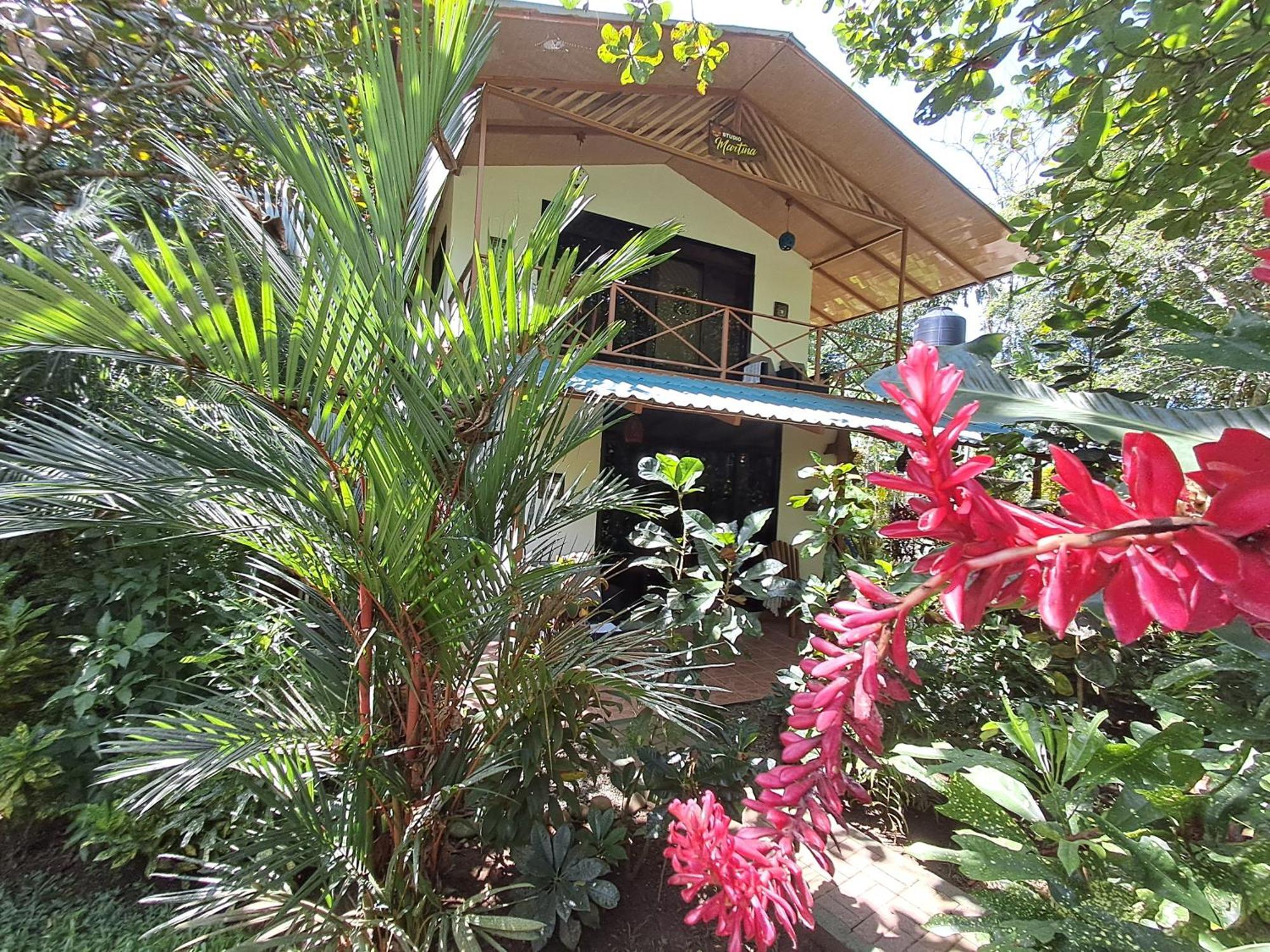 Вилла New Caribe Point Кауита Экстерьер фото