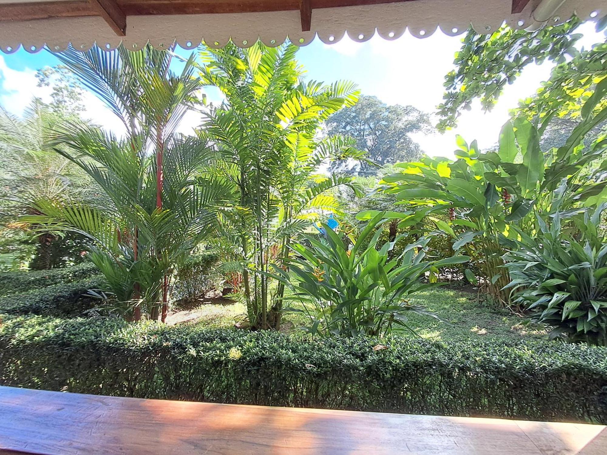 Вилла New Caribe Point Кауита Экстерьер фото