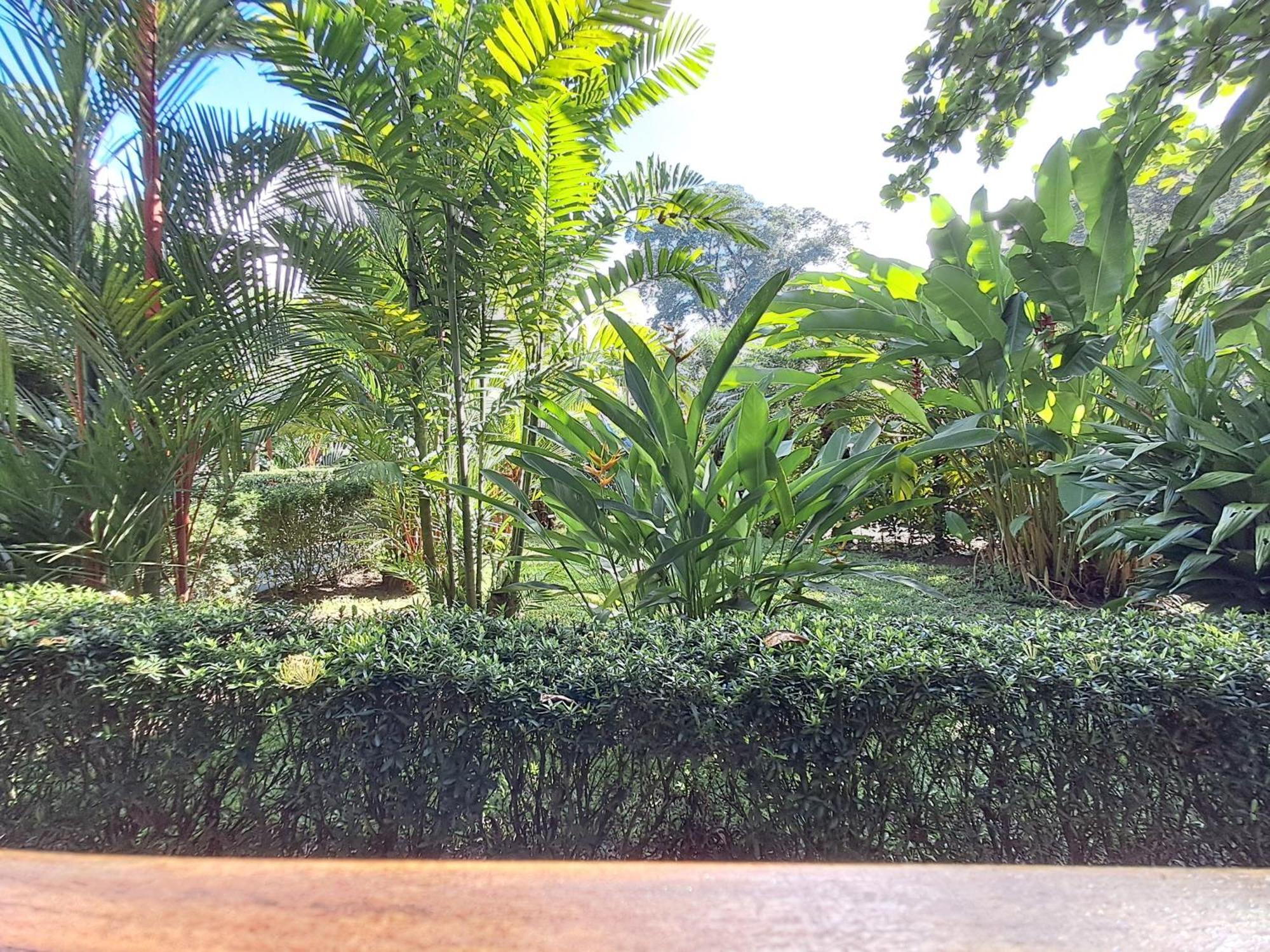 Вилла New Caribe Point Кауита Экстерьер фото